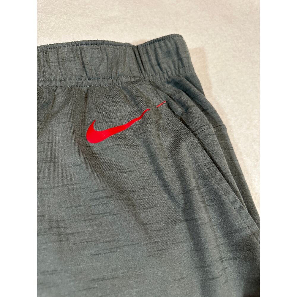 Nike Tampa Bay Buccaneers NFL Dri-FIT Men's Large Gray Jogger Pants - Picture 11 of 11